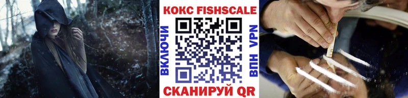 Кокаин Fish Scale  где купить   kraken зеркало  Баймак 
